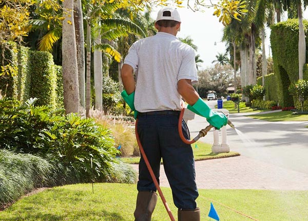 About Littlestown PA Pest Control